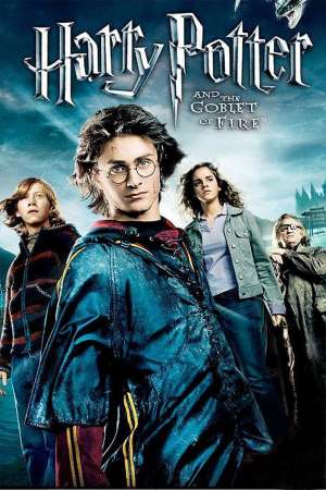 Download Harry Potter and the Goblet of Fire (2005) {Hindi-English} Movie 480p | 720p | 1080p BluRay ESub