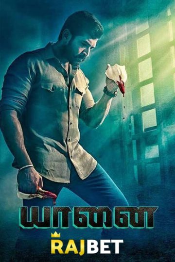 Download Yaanai (2022) Dual Audio {Hindi (HQ)-Tamil} Movie 480p | 720p | 1080p HDRip